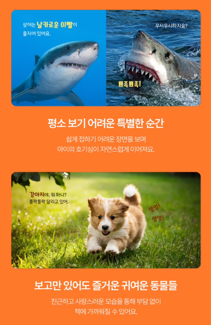 캥거루 자연동화 25권