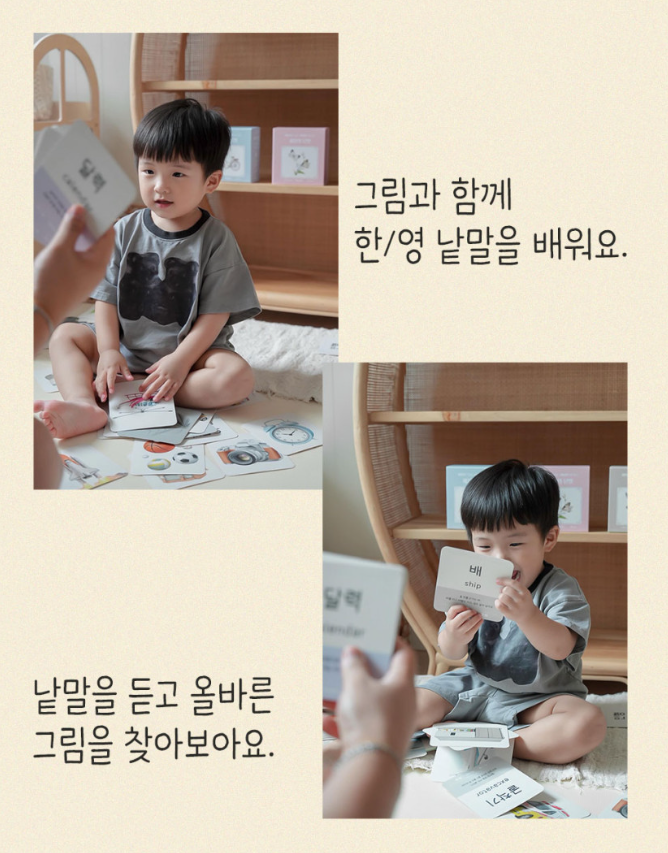 마이앤트 교육용 낱말카드 3종