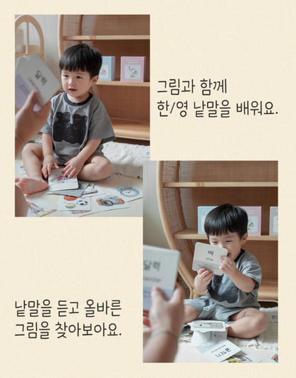 마이앤트 교육용 낱말카드 3종