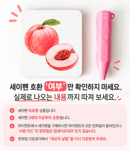 마이앤트 교육용 낱말카드 3종