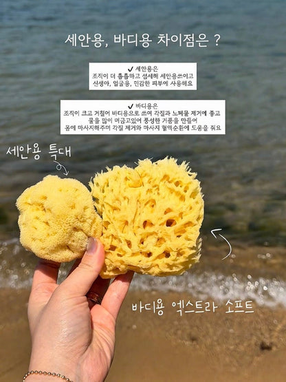 LULLALOVE Natural Sea Sponge ~7/25