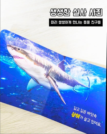 캥거루 자연동화 25권