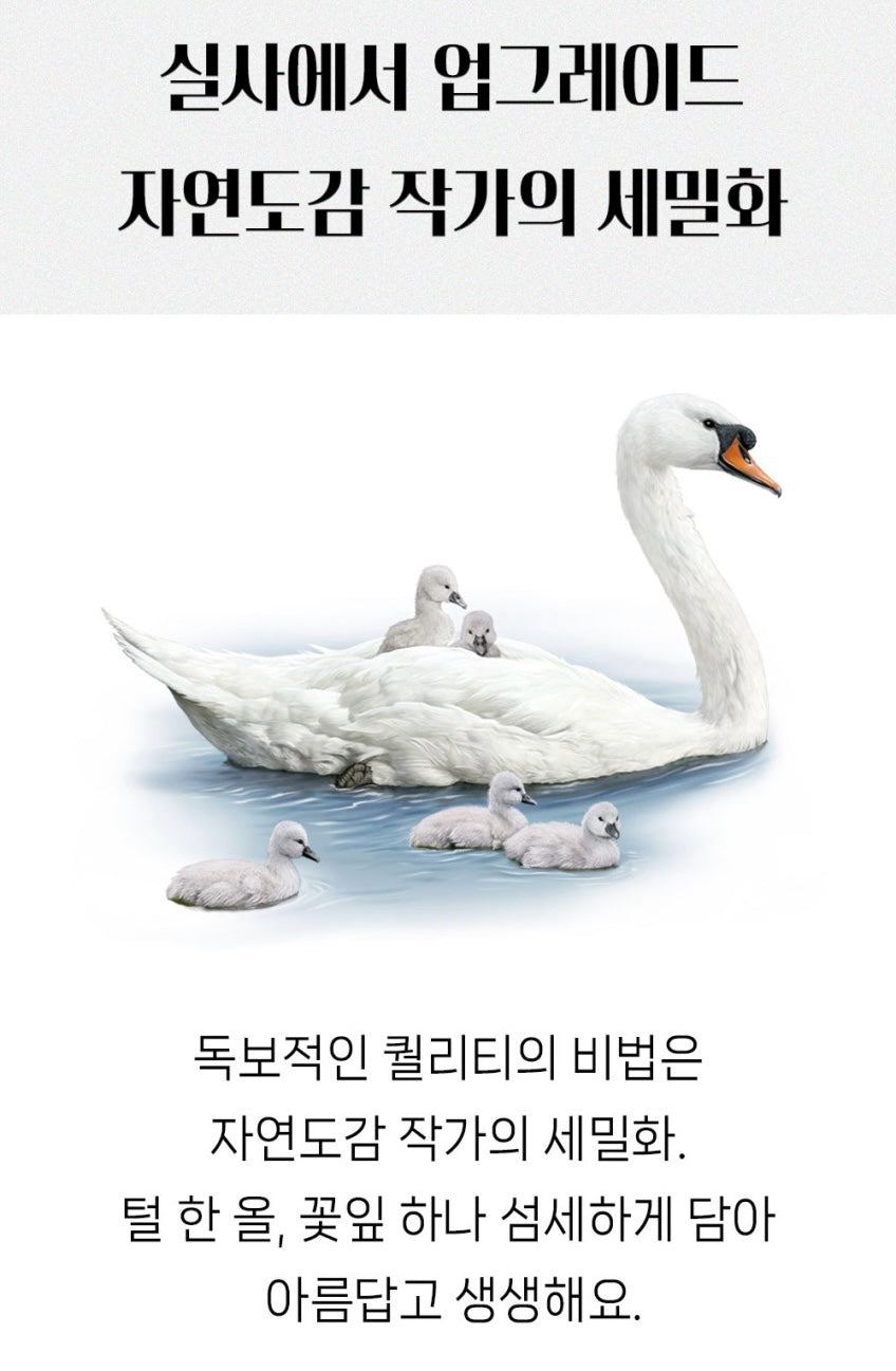세이펜호환 쁘띠아코 아기병풍 (거울포함)