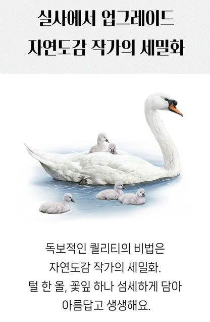 세이펜호환 쁘띠아코 아기병풍 (거울포함)