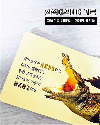 캥거루 자연동화 25권