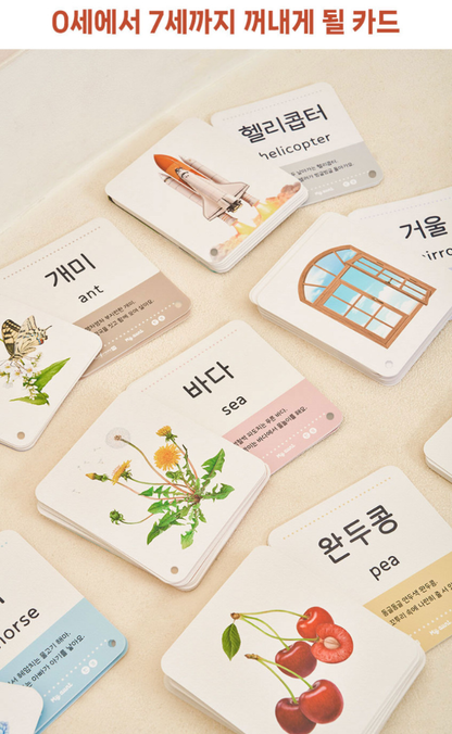 마이앤트 교육용 낱말카드 3종