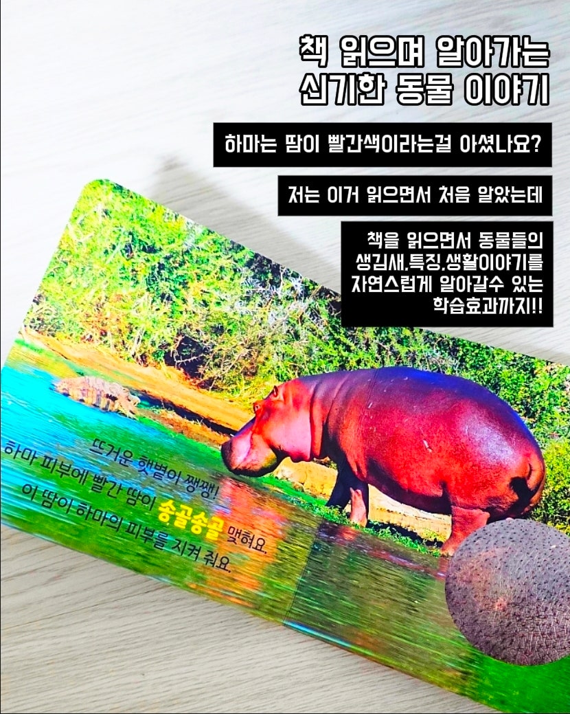 캥거루 자연동화 25권