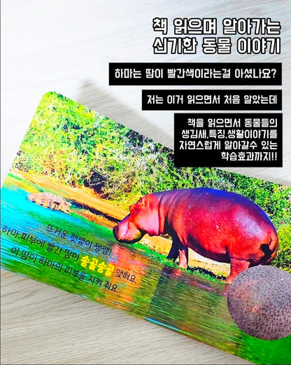 캥거루 자연동화 25권