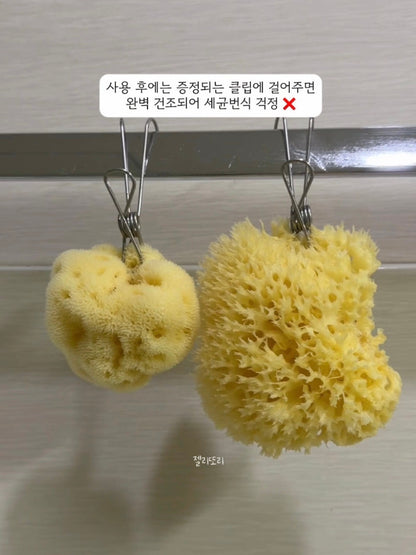 LULLALOVE Natural Sea Sponge ~7/25
