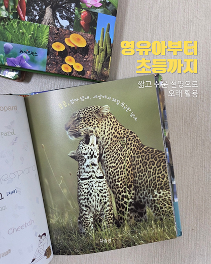 Real Photo Pocket Nature Encyclopedia
