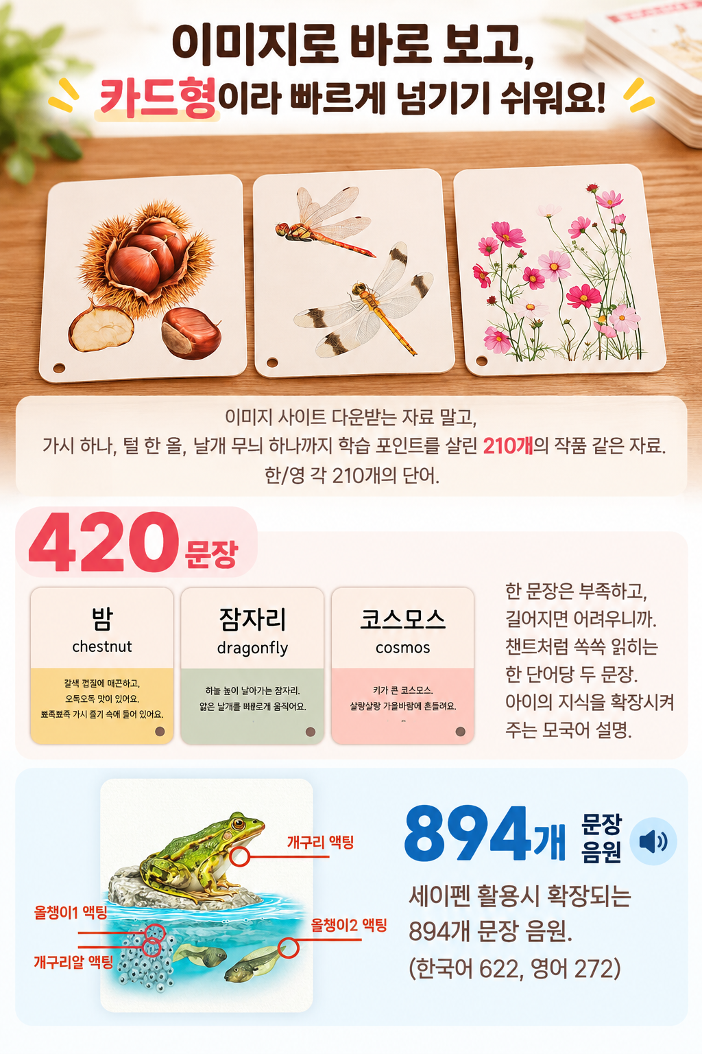 마이앤트 교육용 낱말카드 3종