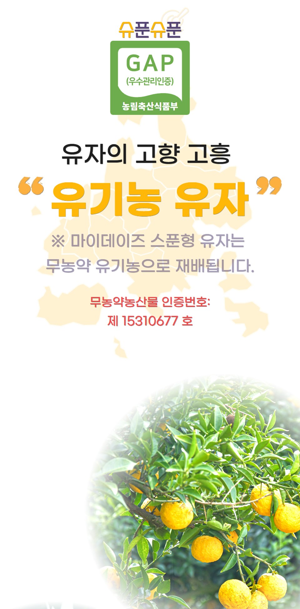 마이데이즈 슈푼슈푼 스푼형 꿀유자차