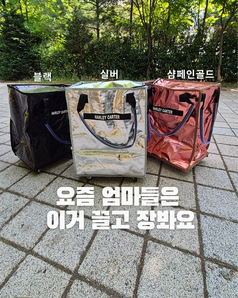 할리카터 롤링카트 ~6/5