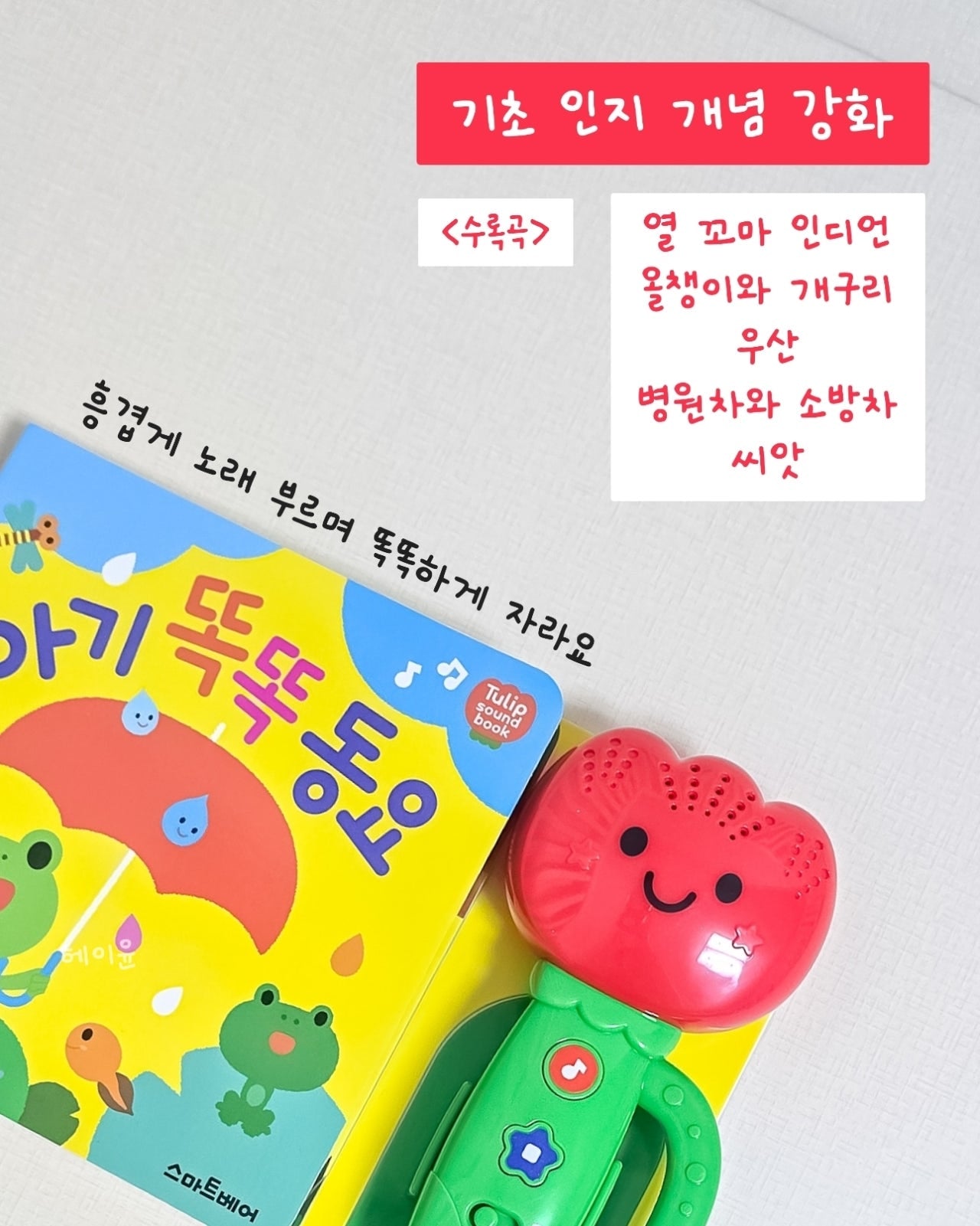 Tulip Sound Book Set 튤립 사운드북