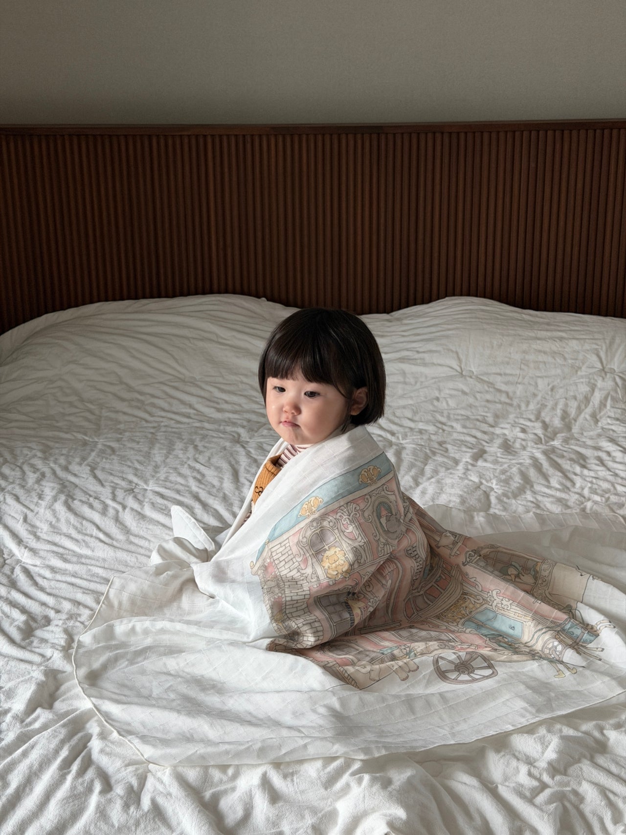 Premium Art Bamboo Blanket