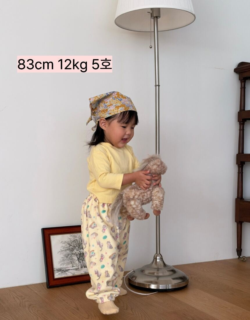 일프로 벨로아 방방핏 고쟁이 ~10/25마감