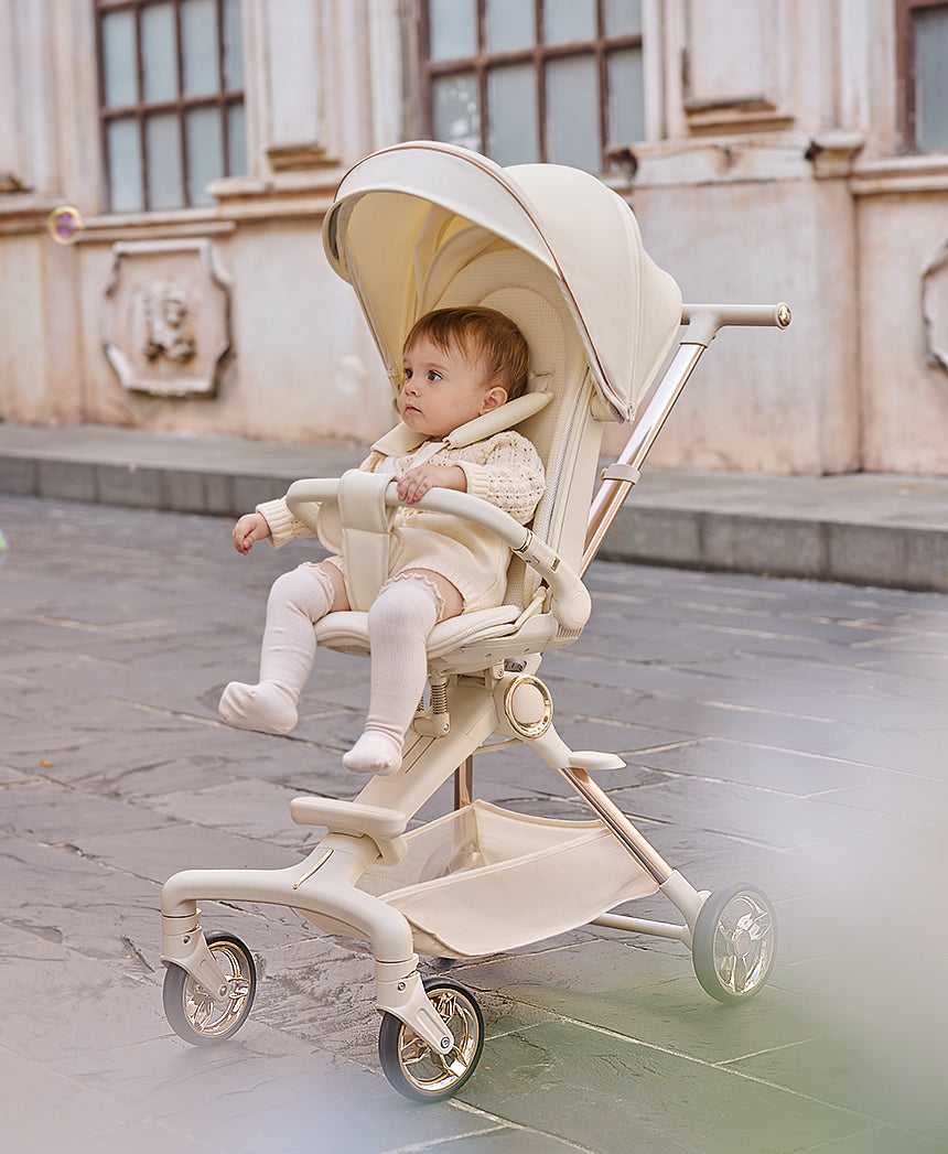 Lebére 360° Reversible Seat stroller
